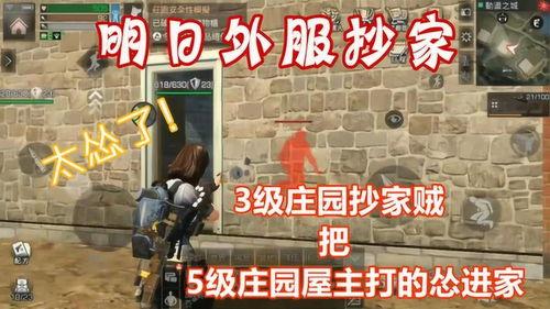 明日之后外服最新爆料网,神秘新内容即将揭晓，生存挑战再升级！